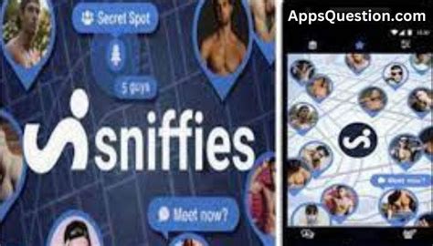 sniffies app|Sniffies App 